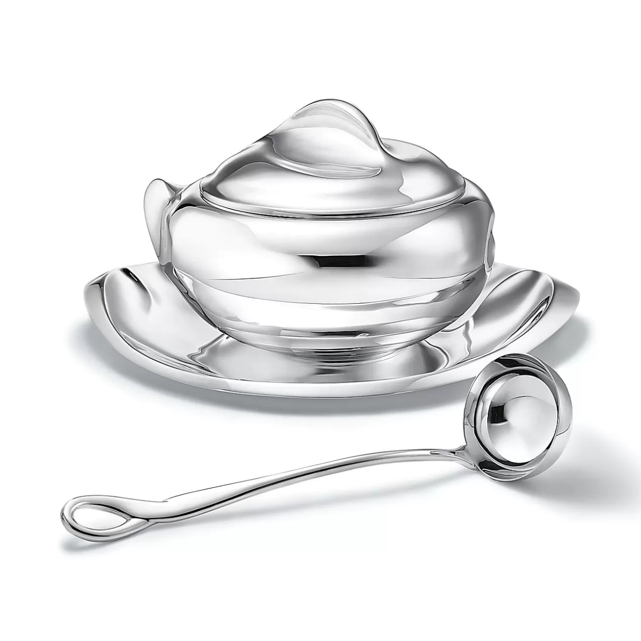 Tiffany & Co. Elsa Peretti® | Tableware^Elsa Peretti® Padova™ ladle in sterling silver. |